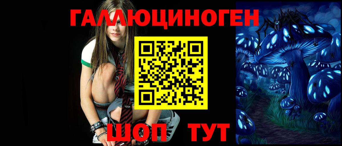 Галлюциногенные грибы Psilocybe Ульяновск
