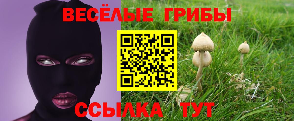 Галлюциногенные грибы GOLDEN TEACHER  Вход с VPN  Ульяновск 